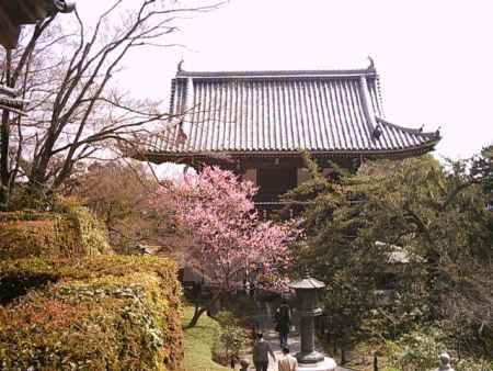 善峯寺　山門