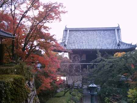 善峯寺　山門と紅葉