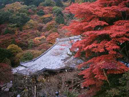 善峯寺の本堂と紅葉