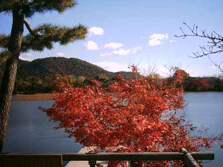 大覚寺　大沢池と紅葉