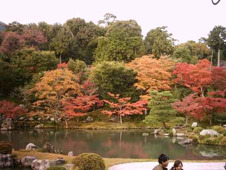 天龍寺　秋の曹源池庭園