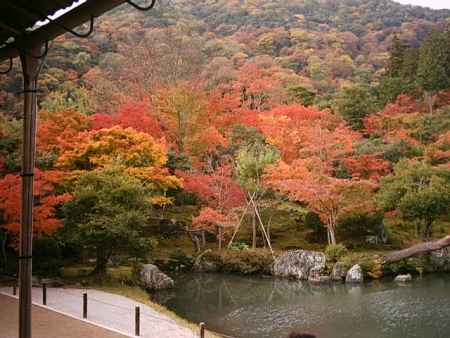 天龍寺　紅葉の曹源池庭園