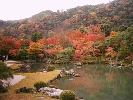 天龍寺　曹源池庭園の紅葉