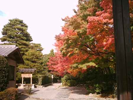 天龍寺の紅葉