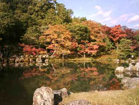 天龍寺　曹源池と紅葉