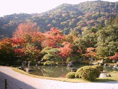 天龍寺　秋の曹源池と嵐山