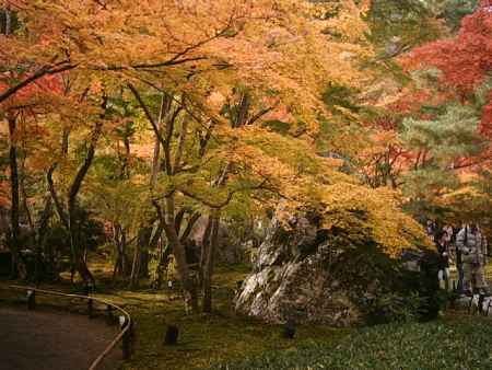 宝厳院　秋の獅子吼