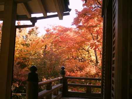 秋の宝厳院