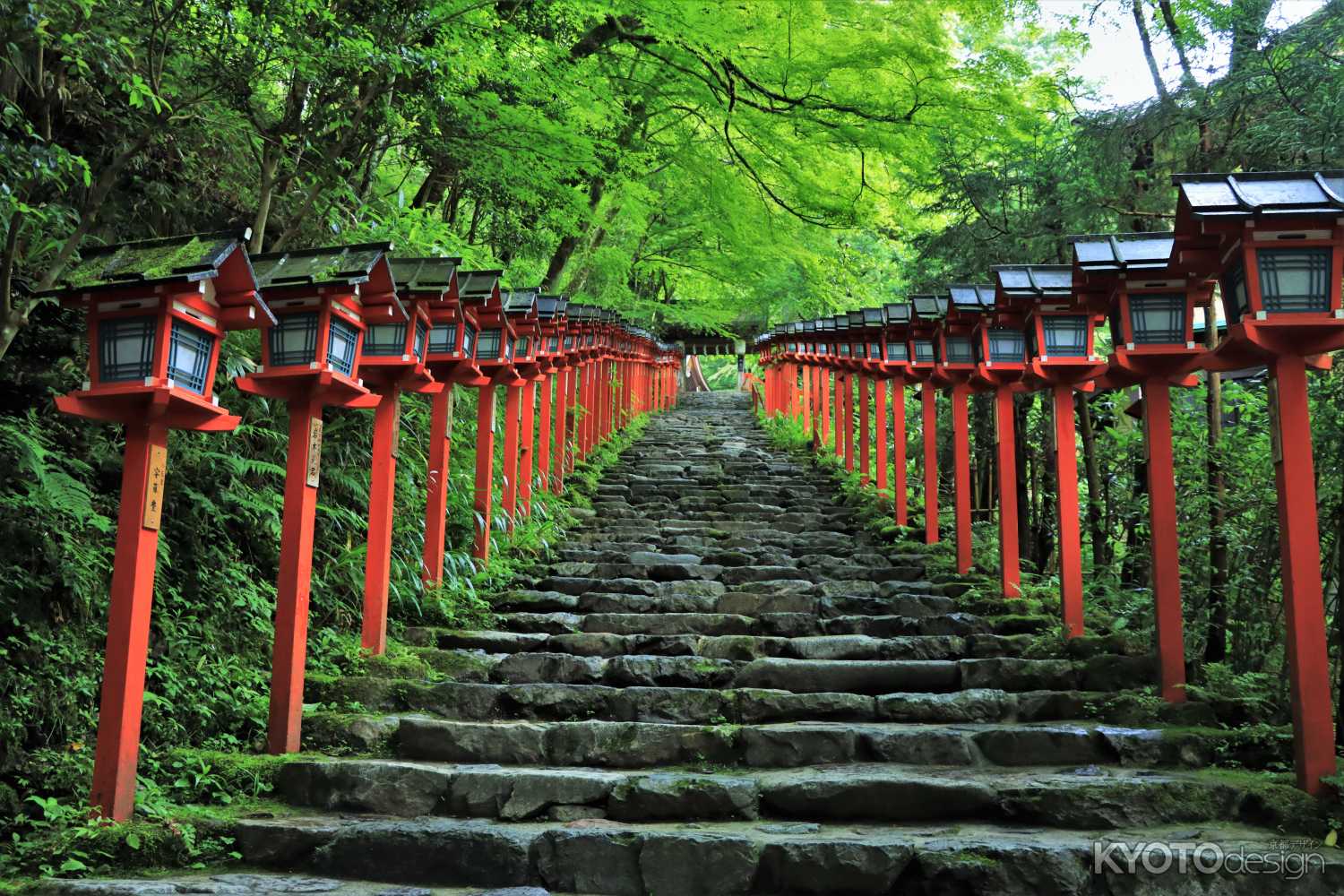 貴船神社参道2023