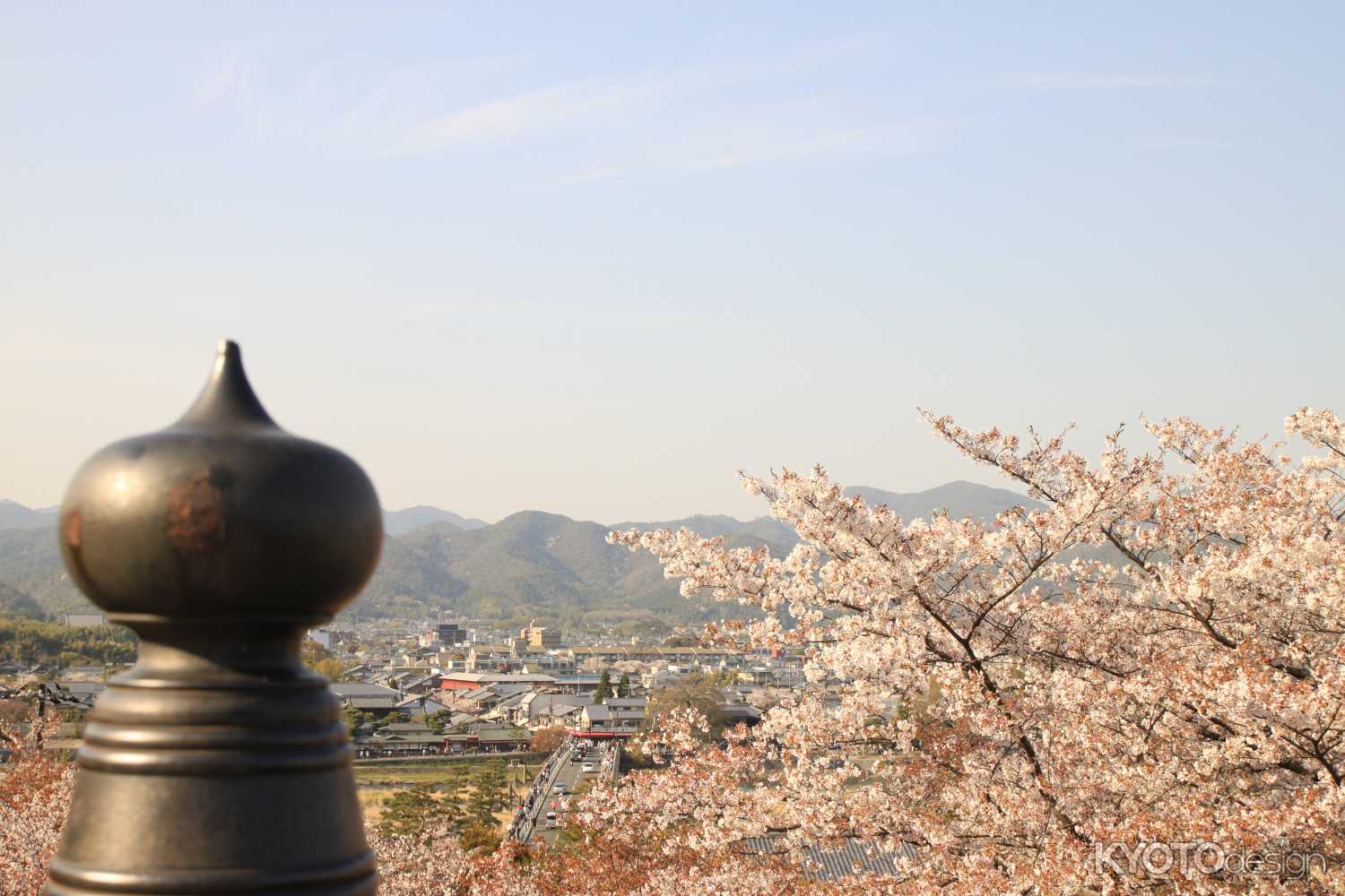 満開の桜と渡月橋、嵯峨野方面