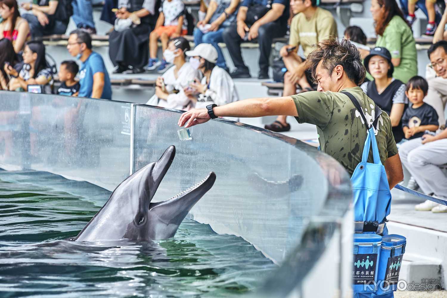 京都水族館