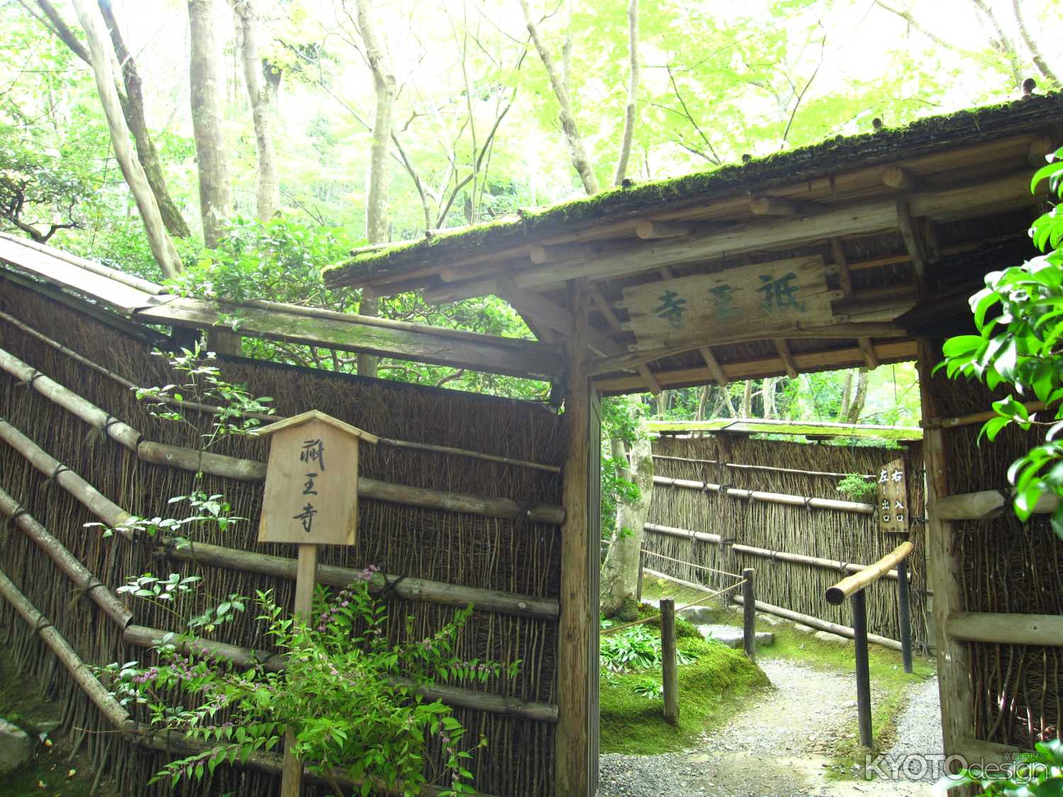 祇王寺の山門