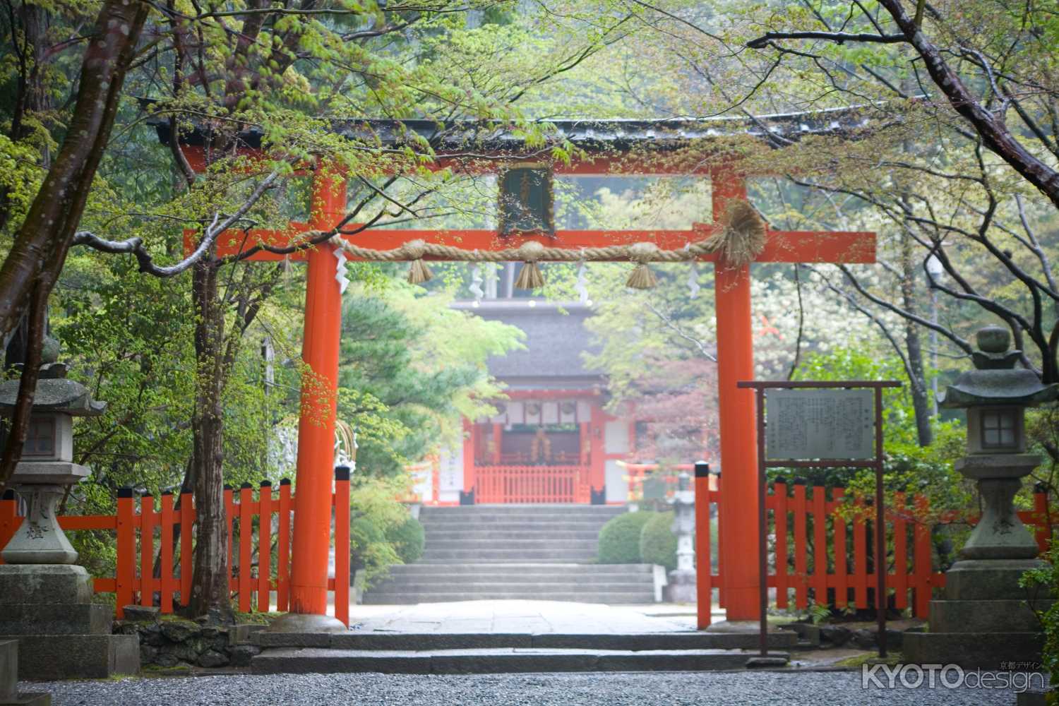 春の雨　大原野神社