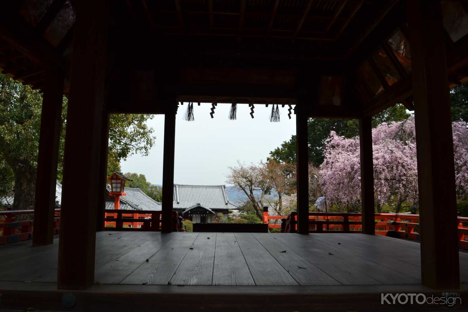 建勲神社　舞台と桜