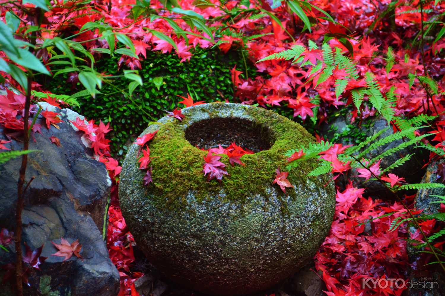 紅葉と手水鉢　