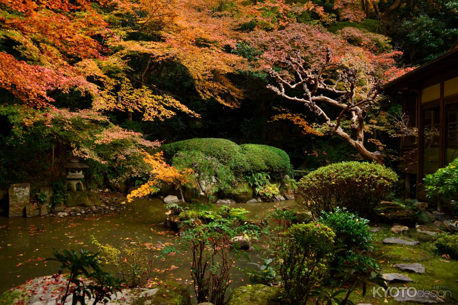 長楽寺庭園の紅葉2