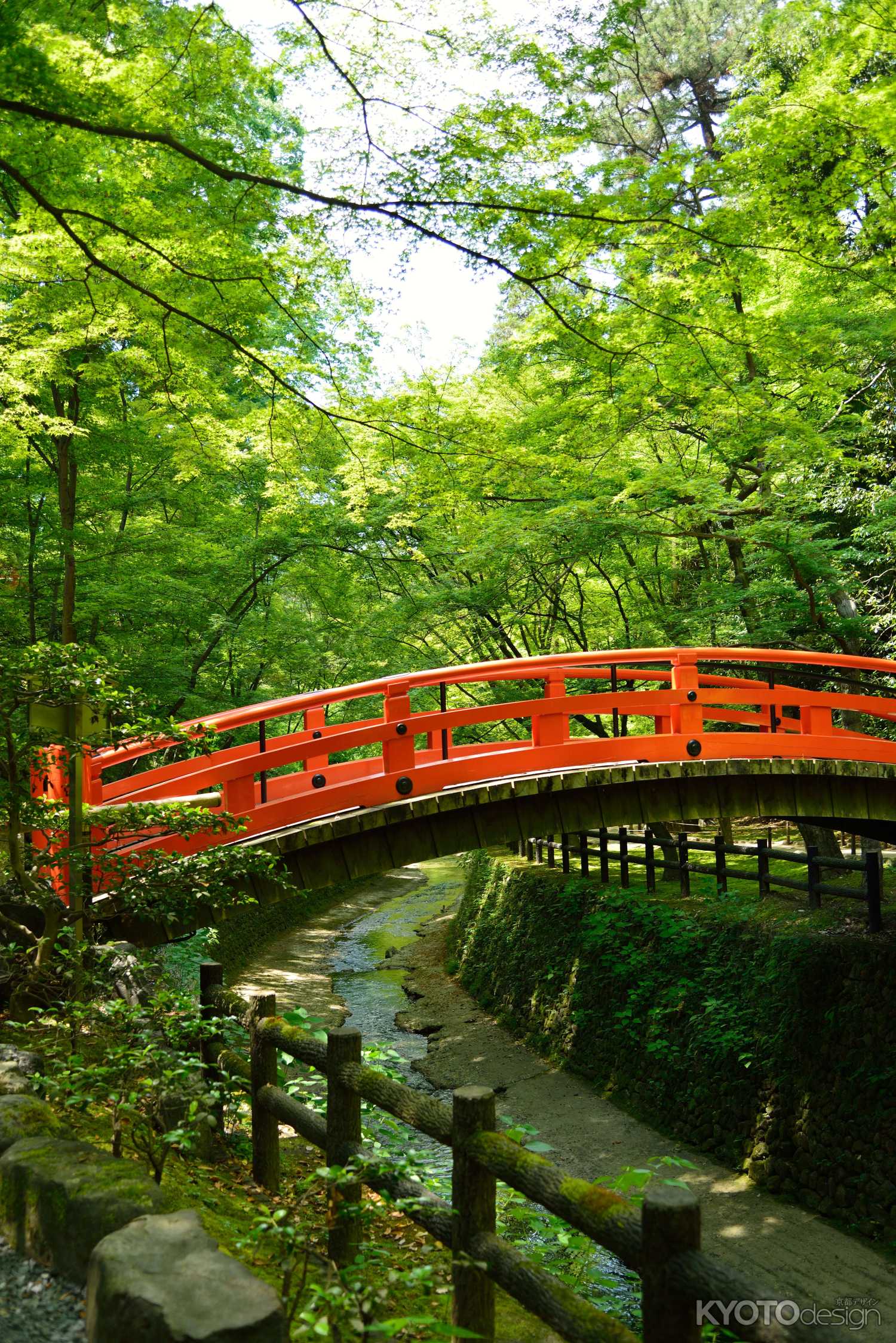 赤橋と御土居の青紅葉