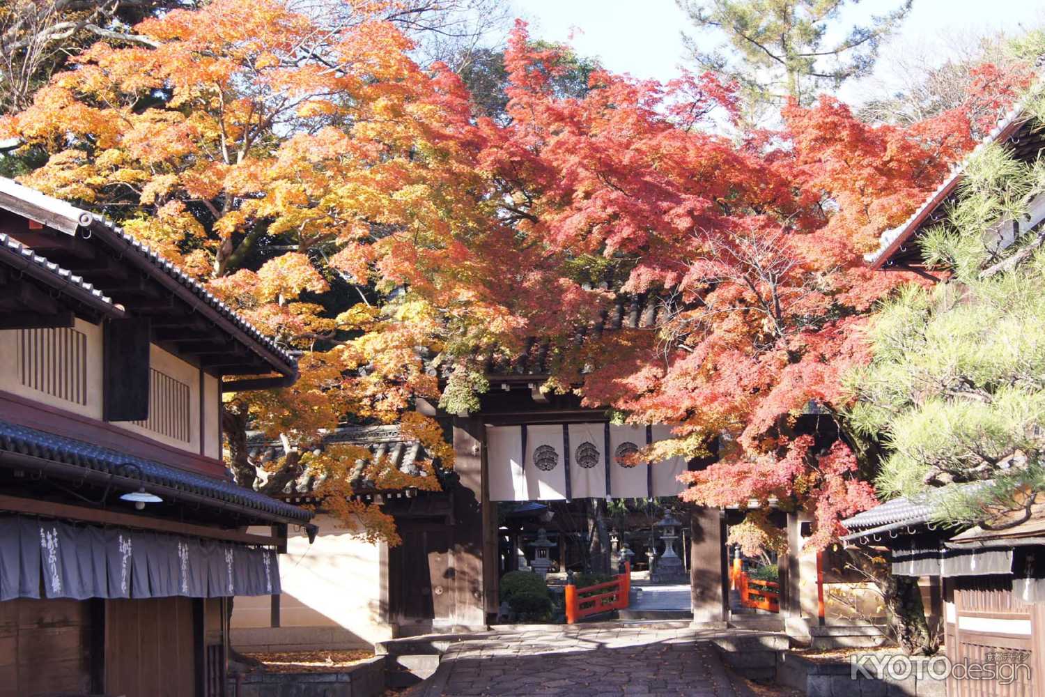 京都市の紅葉（今宮神社門前）