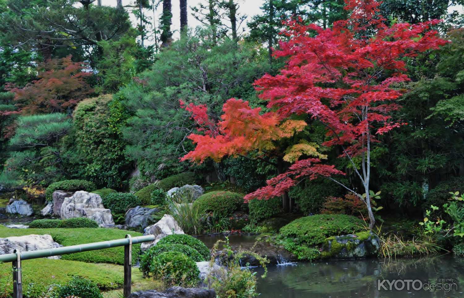 京都の紅葉 退蔵院