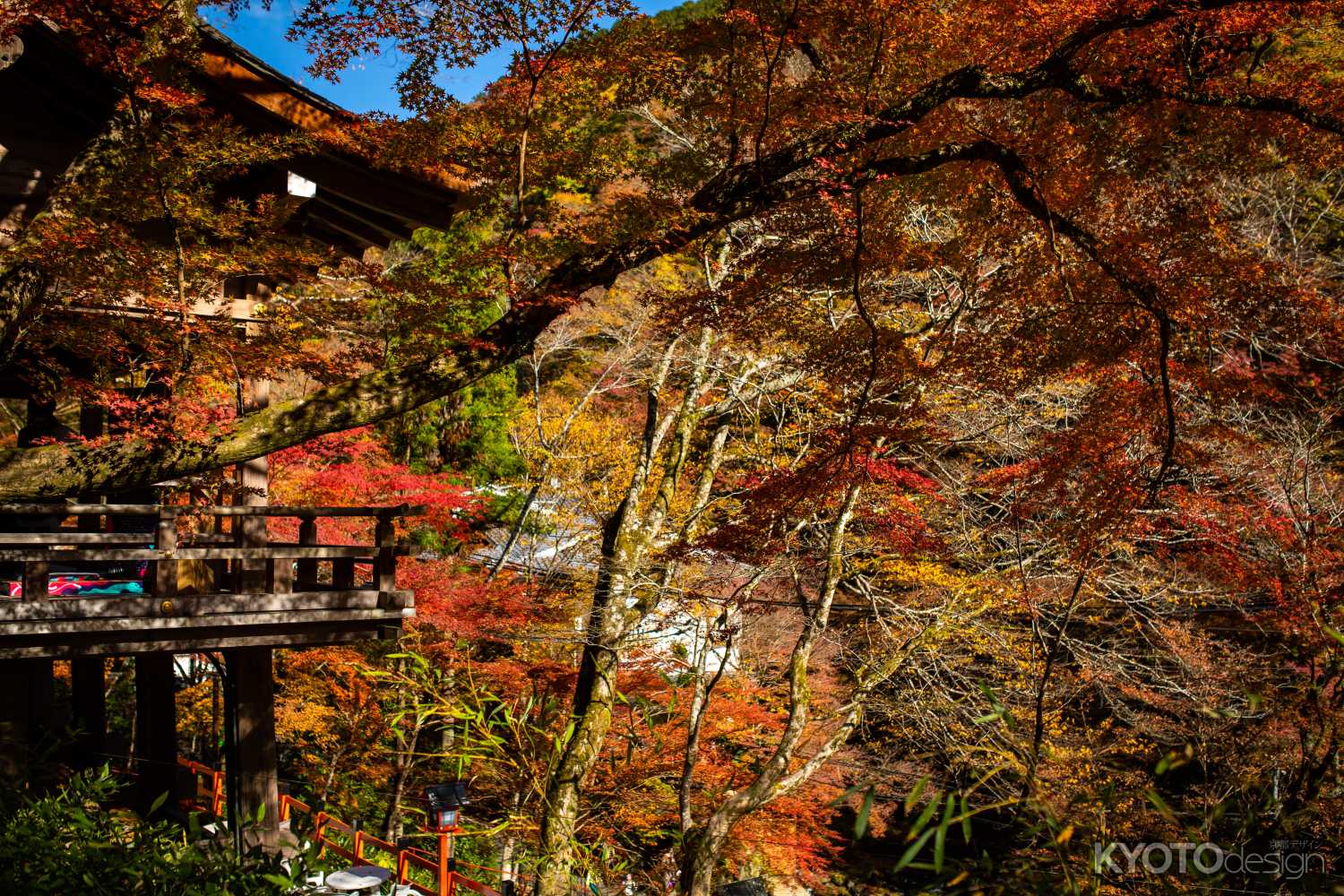 貴布袮総本宮 貴船神社