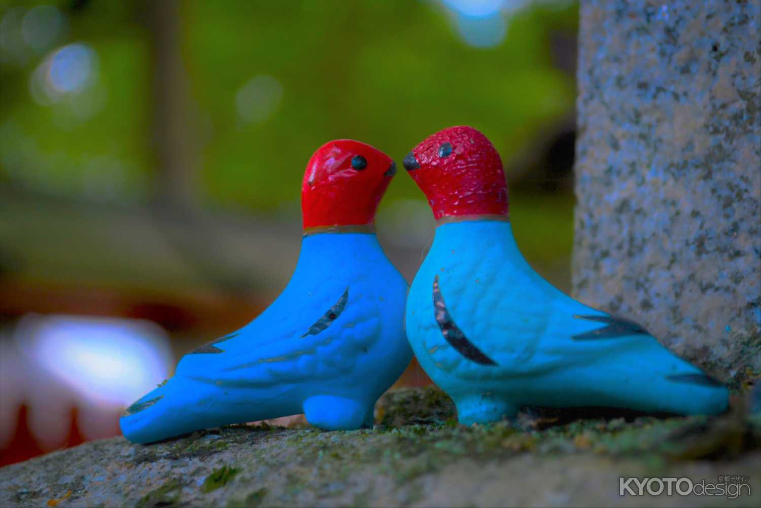 神鳩　ダイバーシティ