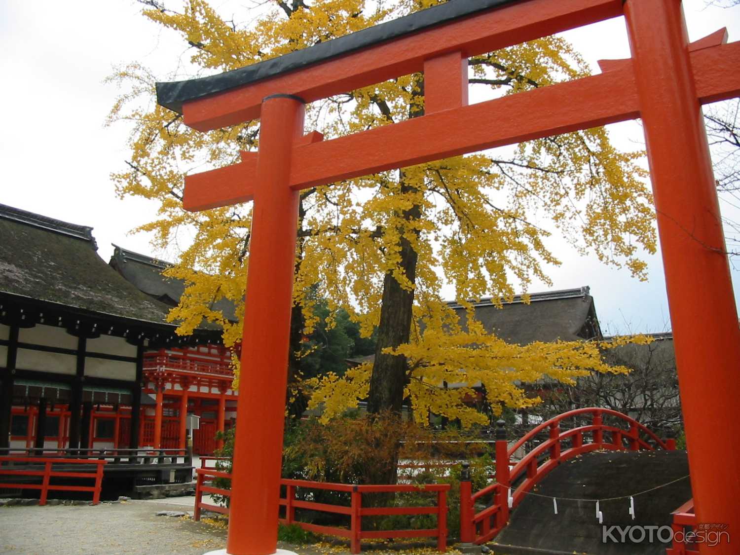 秋の下鴨神社
