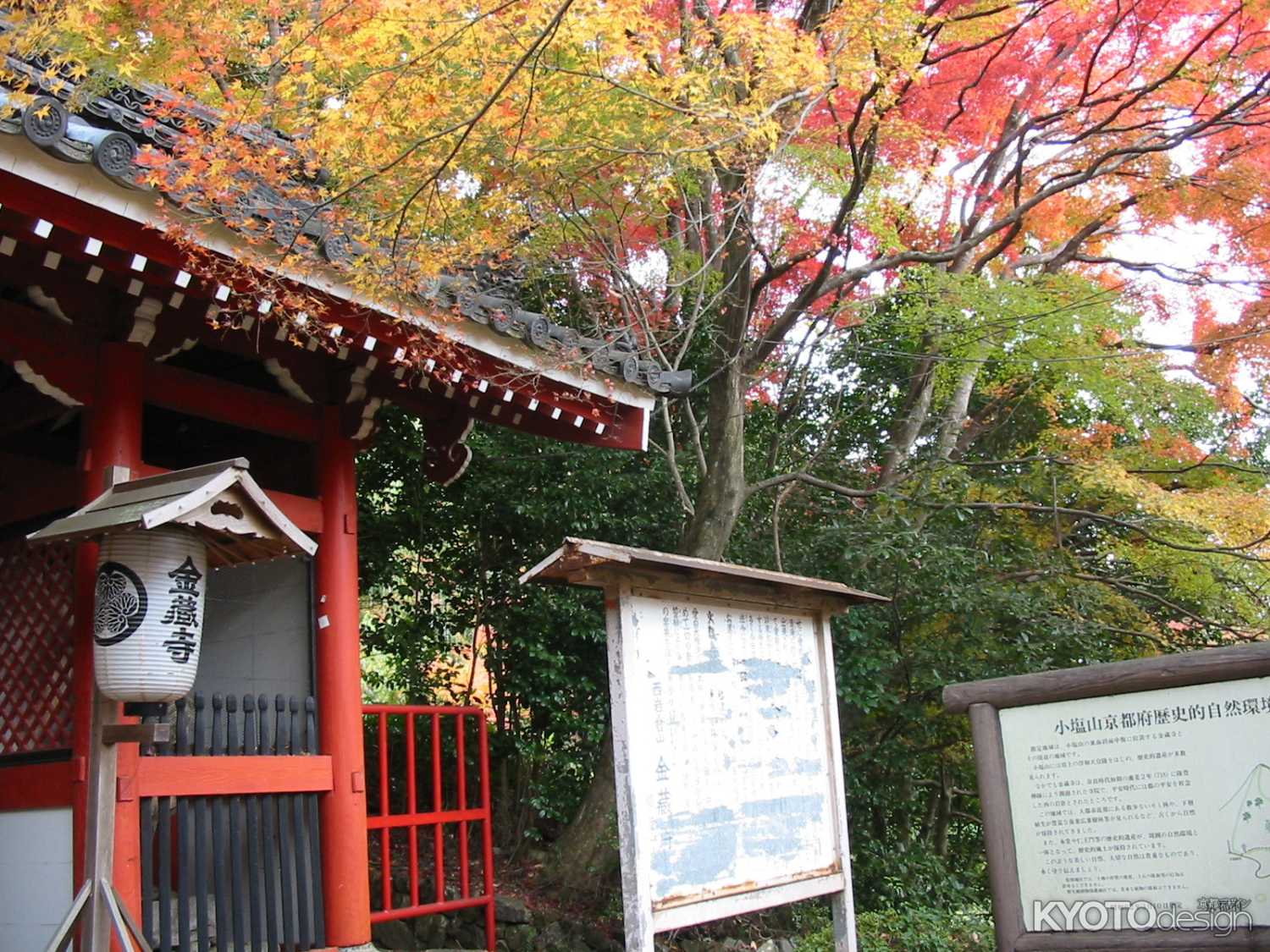 秋の金蔵寺