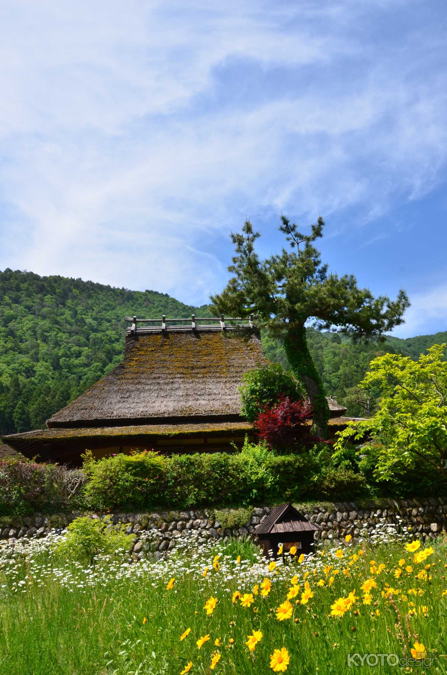 草木に寄り添って