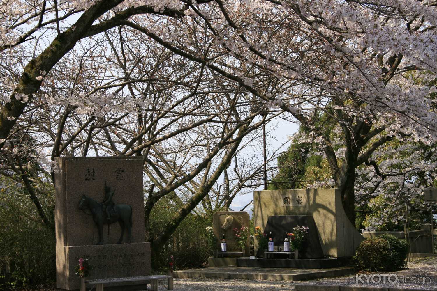 護国神社の慰霊碑と桜