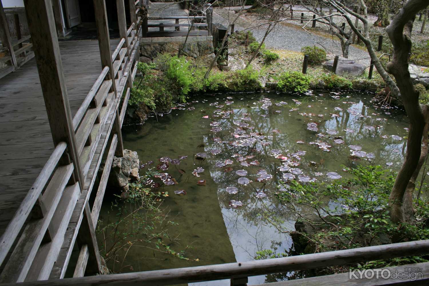 常照皇寺の池