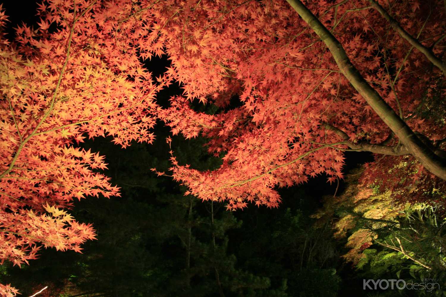 鍬山神社のライトアップ