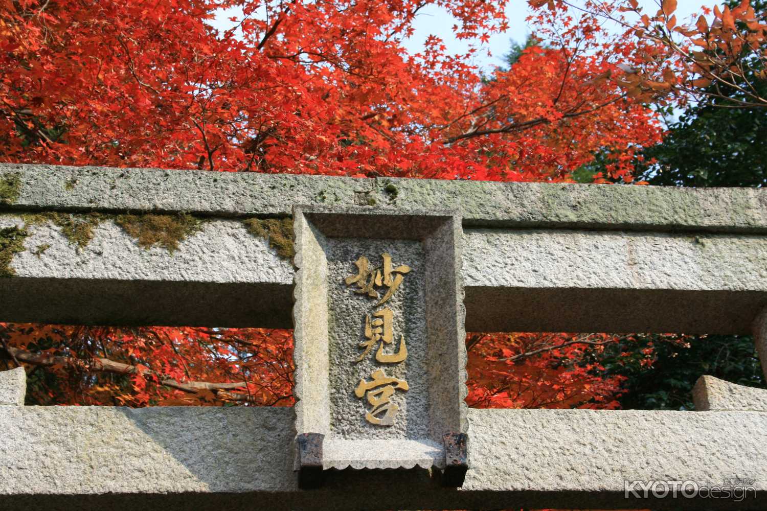 三宝寺の紅葉
