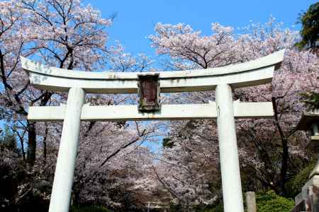 宗忠神社