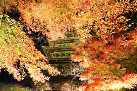 東寺