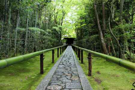 高桐院