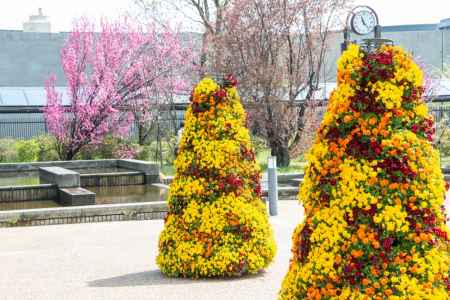 京都府立植物園