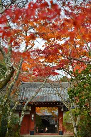 常照寺