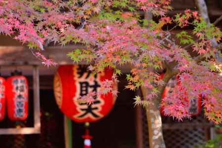 赤山禅院