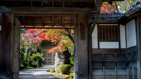 正法寺