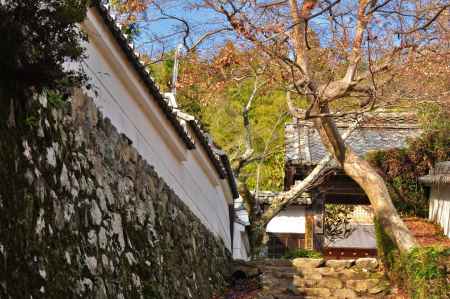 勝持寺