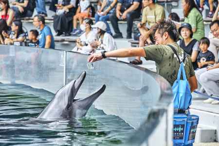 京都水族館