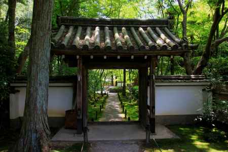 地蔵院（竹の寺）