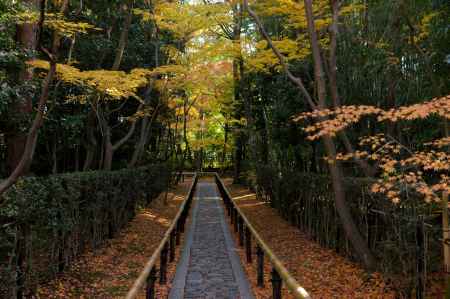 高桐院