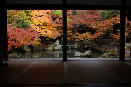 蓮華寺