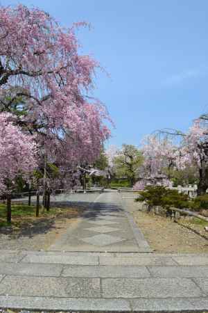 上品蓮台寺