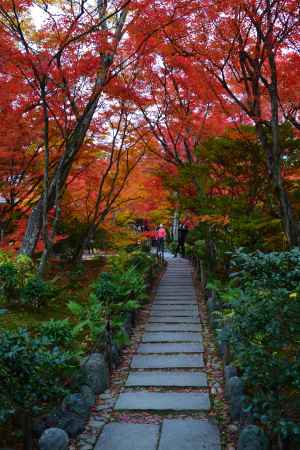 宝筐院