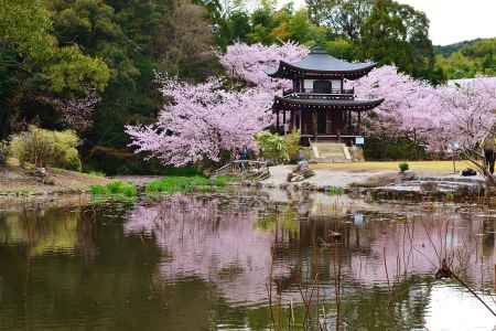 勧修寺