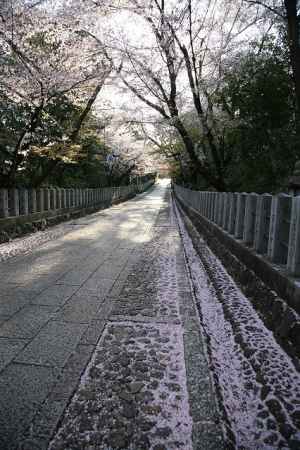 向日神社