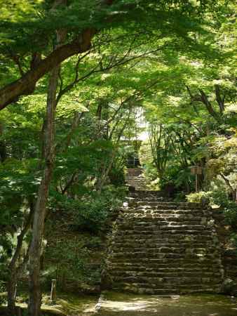 浄住寺