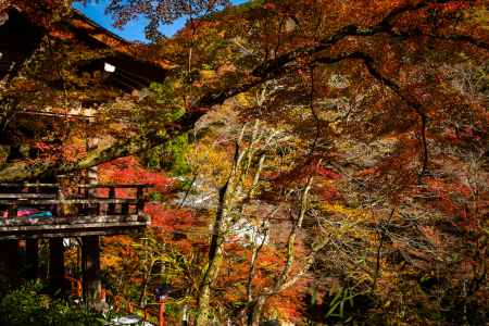 貴船神社